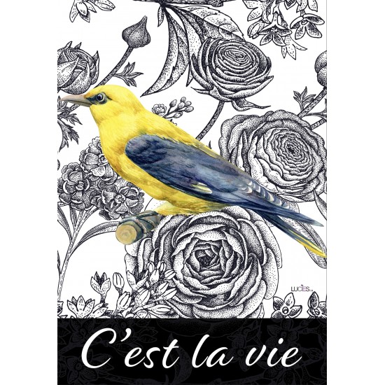 C'est la vie oiseaux jaune 